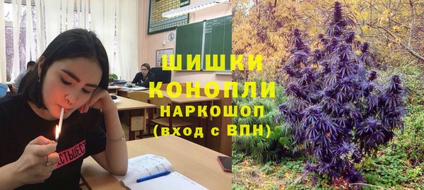 Альфа ПВП Лабытнанги