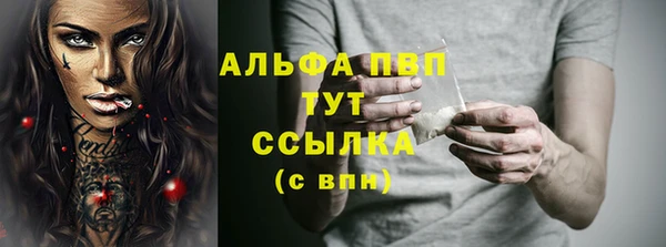 Альфа ПВП Лабытнанги