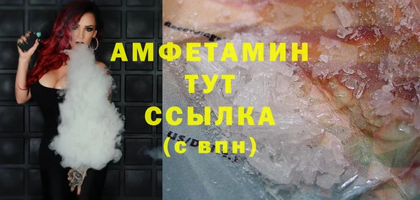 ГАЛЛЮЦИНОГЕННЫЕ ГРИБЫ Кукмор