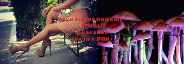 соль курить ск Ладушкин