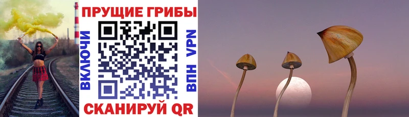 Псилоцибиновые грибы прущие грибы  Микунь 